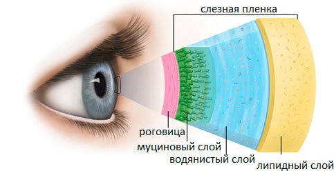 Состав слезной пленки